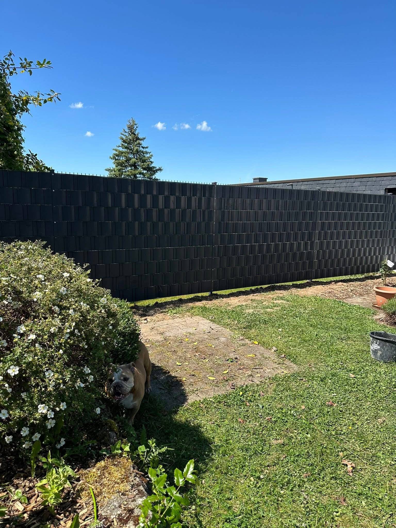 Dunkler Sichtschutzzaun in einem Garten unter blauem Himmel